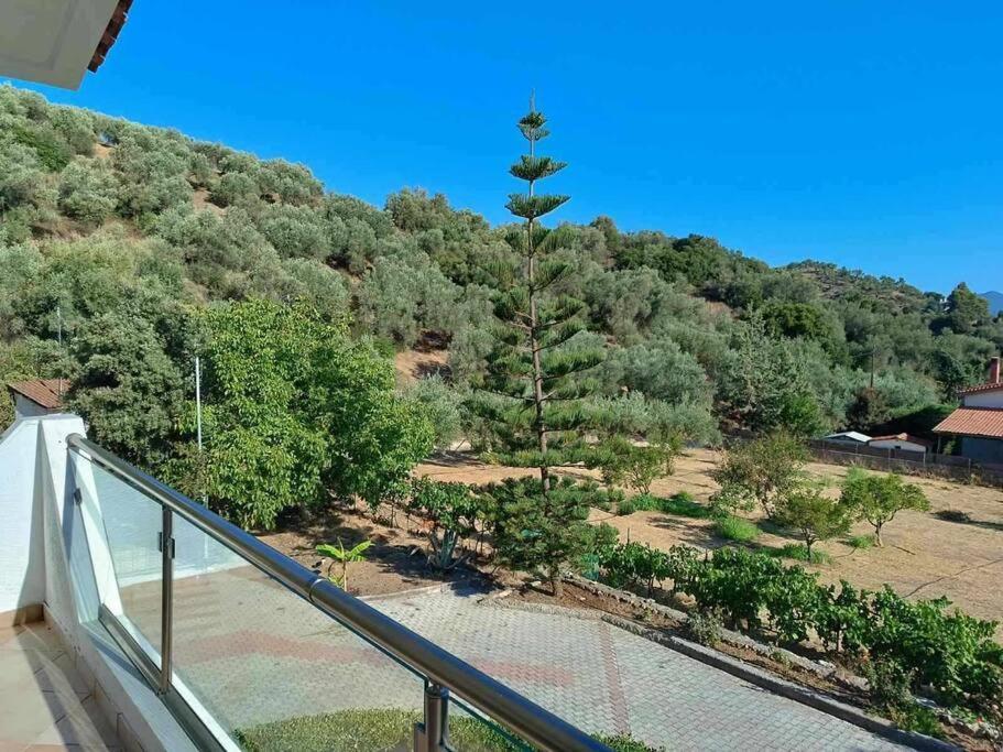Apartamento Ολόκληρος Όροφος Αγροτική Οικία Néos Pírgos Exterior foto