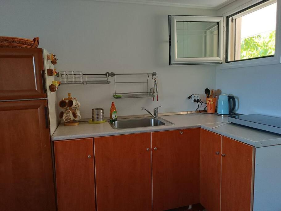 Apartamento Ολόκληρος Όροφος Αγροτική Οικία Néos Pírgos Exterior foto