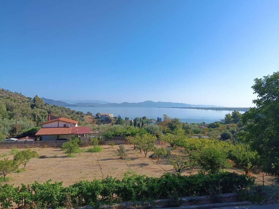 Apartamento Ολόκληρος Όροφος Αγροτική Οικία Néos Pírgos Exterior foto