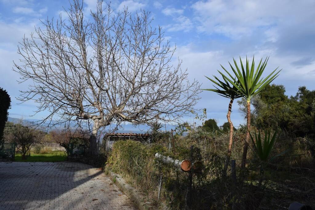 Apartamento Ολόκληρος Όροφος Αγροτική Οικία Néos Pírgos Exterior foto