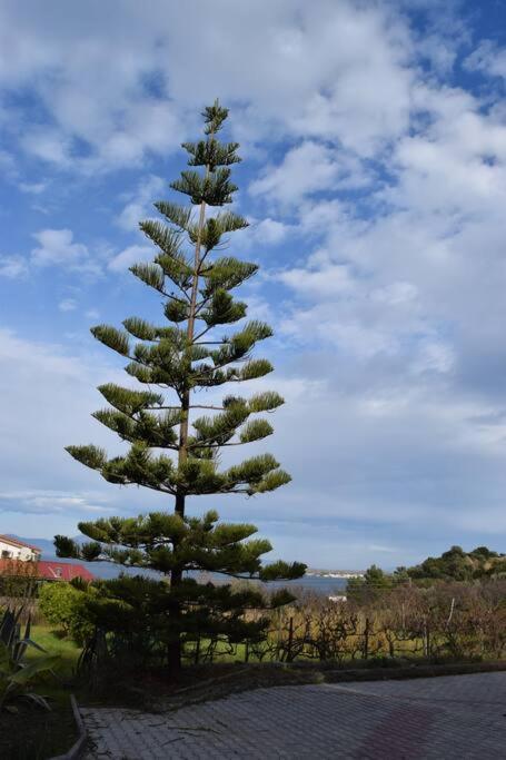 Apartamento Ολόκληρος Όροφος Αγροτική Οικία Néos Pírgos Exterior foto