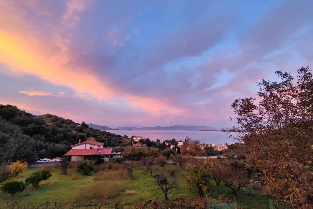 Apartamento Ολόκληρος Όροφος Αγροτική Οικία Néos Pírgos Exterior foto